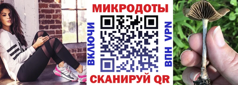 Псилоцибиновые грибы MAGIC MUSHROOMS  MEGA онион  Тбилисская  даркнет сайт 